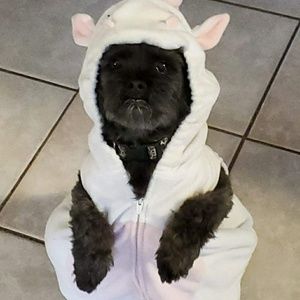 Meet your Posher, Gene